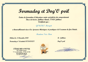 Diplôme d'éducateur canin comportementaliste de Margot Goulut, délivré par Formadog et Dog'O poil avec mention Très Bien.