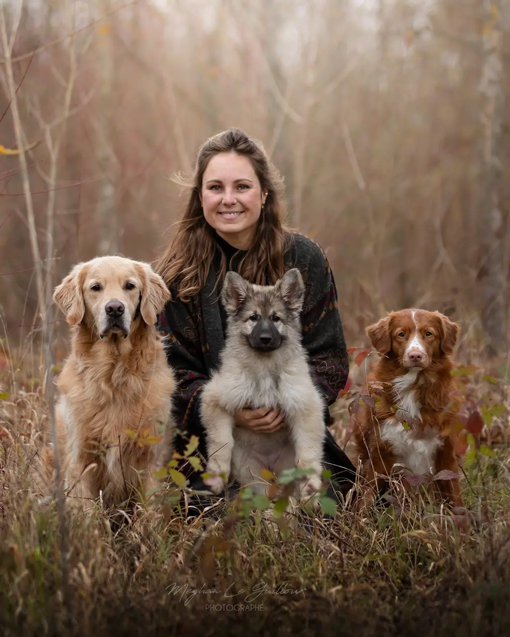 Portrait d'une femme souriante assise dans une forêt en automne avec un Golden Retriever, un chiot Altdeutsch Schäferhund et un Nova Scotia.