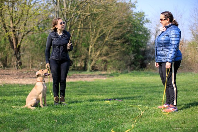 Une éducatrice canine en extérieur tenant un bâton face à une cliente et son chien assis en laisse sur l'herbe.